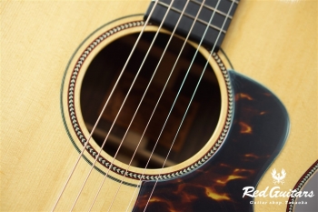HF-501 Built by Yasuo Momose 
